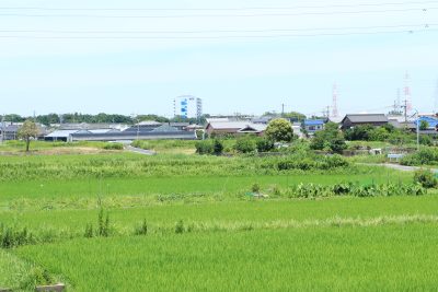 愛知県武豊町の田舎の風景