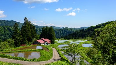 秋田県藤里町ののどかな日本の原風景