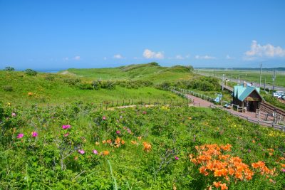 北海道小清水町にある小清水原生花園と田舎の景色