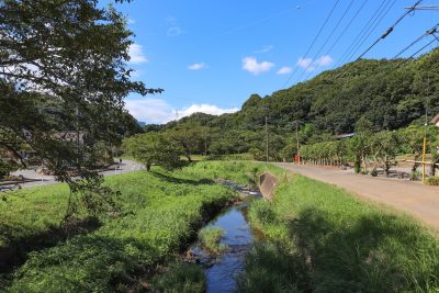 神奈川県中井町の小川とと田舎の風景