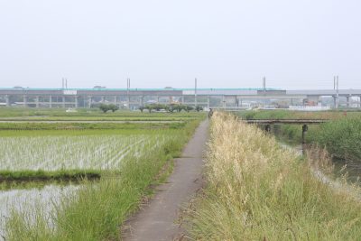埼玉県伊奈町の田舎の風景