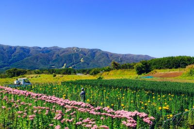 【長野県富士見町に住むための6つの基礎情報】富士見町で移住・2拠点生活。 | 二拠点生活
