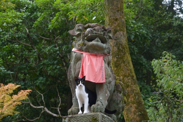 狛犬
