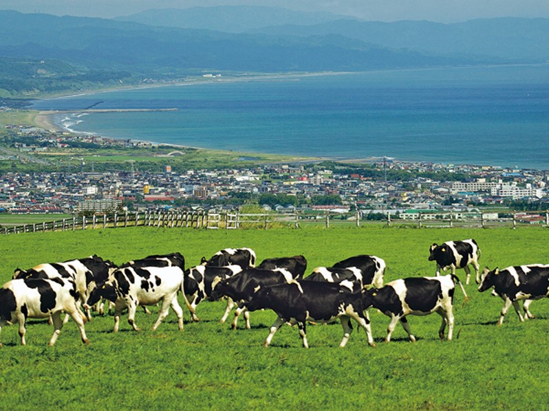 【2026年度 最新版】北海道八雲町の移住・2拠点生活支援制度を徹底解説 | 二拠点生活