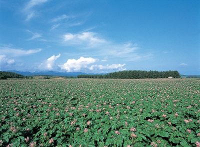 【2026年度 最新版】北海道厚沢部町の移住・2拠点生活支援制度を徹底解説 | 二拠点生活