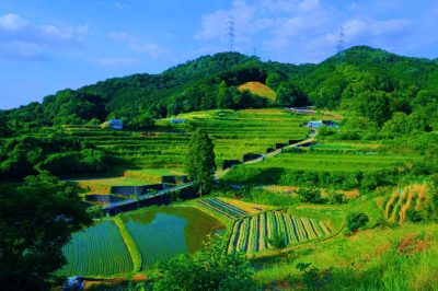 大阪府太子町