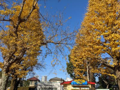 「“関係”から始まる地域づくり」本州における地域おこし協力隊の進化形3選 | その他