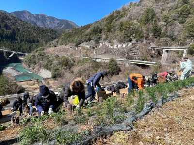 全国10選｜2025年8月時点 募集中の地域おこし協力隊 | その他