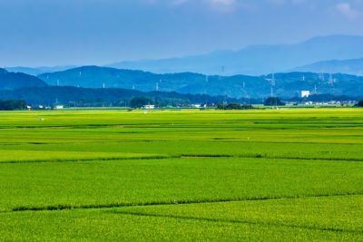 【2026年度 最新版】新潟県へ移住したい方へおすすめの地域8選と支援制度を解説 | 二拠点生活