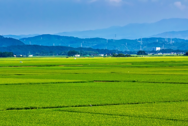 【2026年度 最新版】新潟県へ移住したい方へおすすめの地域8選と支援制度を解説 | 二拠点生活