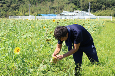 【和歌山県白浜町編】“しごと暮らし体験”を活用して、理想の移住先を探そう | 二拠点生活