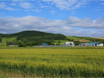 【北海道栗山町に住むための6つの基礎情報】栗山町で移住・2拠点生活。 | 二拠点生活