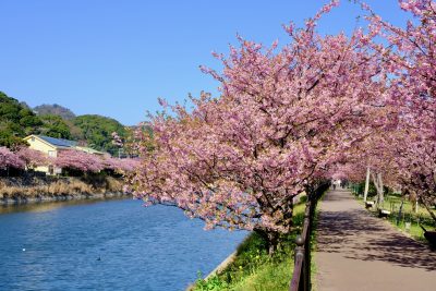 静岡県への移住なら必見！おすすめ地域10選や「支援制度(補助金)」を紹介！ | 移住生活
