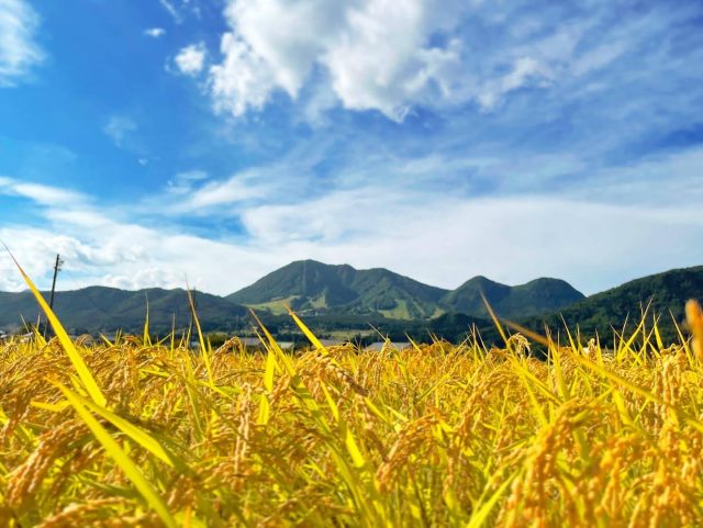 木島平村