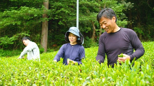横瀬町での農業サポート