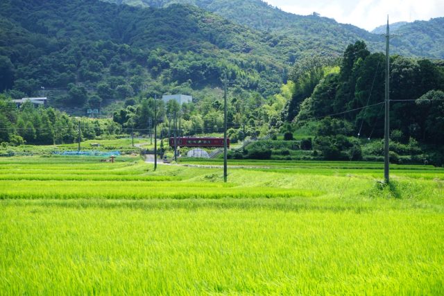 宮津市