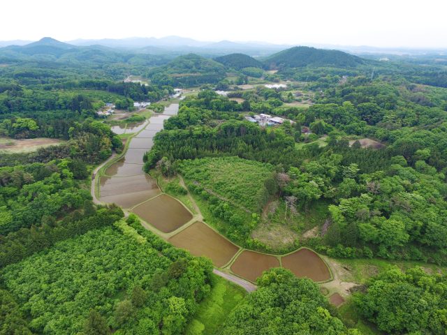 市貝町