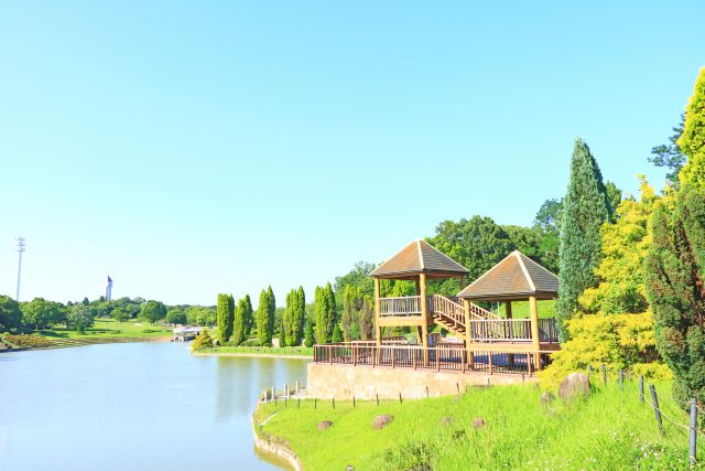 愛知県東浦町の健康の森公園の風景