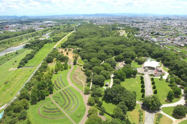 愛知県一宮市の街並み(国営木曽三川公園　愛知県)