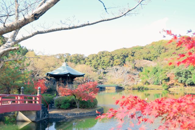 愛知県瀬戸市の街並み(瀬戸市定光寺町の定光寺公園)