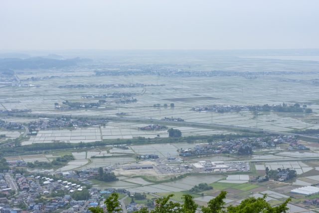 秋田県井川町の水田の風景と街の全景