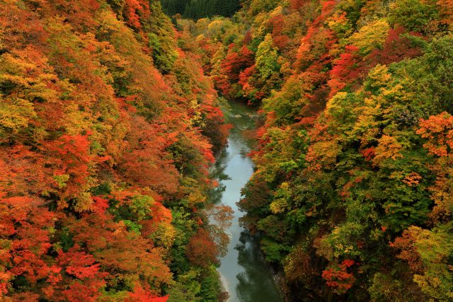 秋田県湯沢市にある小安峡の紅葉の風景