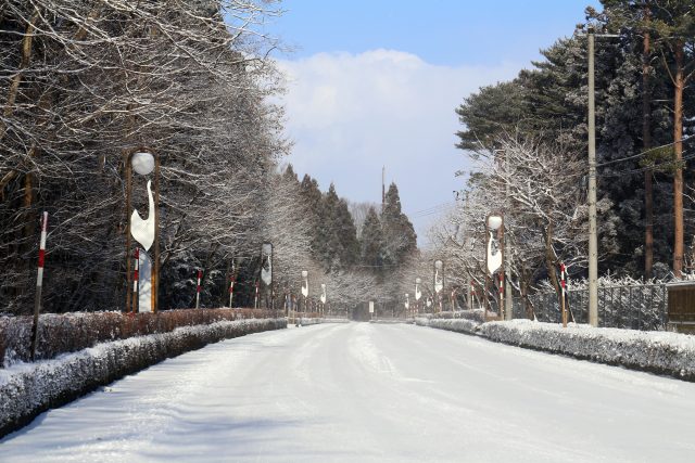 青森県おいらせ町にある白鳥の家の雪道と田舎の風景
