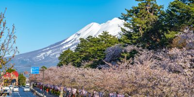 青森県弘前市の観光スポットと桜、岩木山の風景