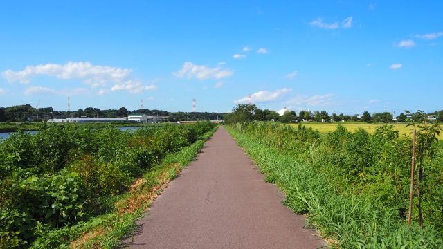 千葉県八千代市ののどかな田舎の風景