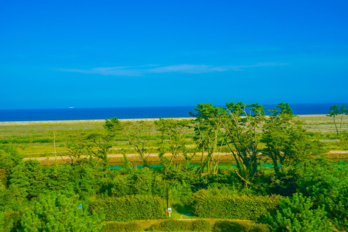 ステップ 1: 会議は数週間前に設定する