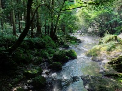 】京都市と宮津の二拠点ライフ3