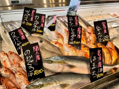 宮津市の新鮮な魚介類