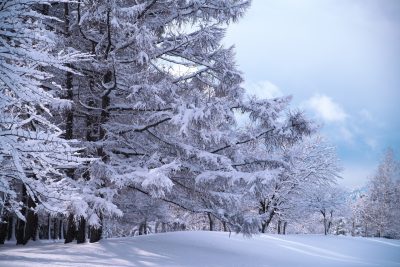 江別市内の野幌公園の雪景色