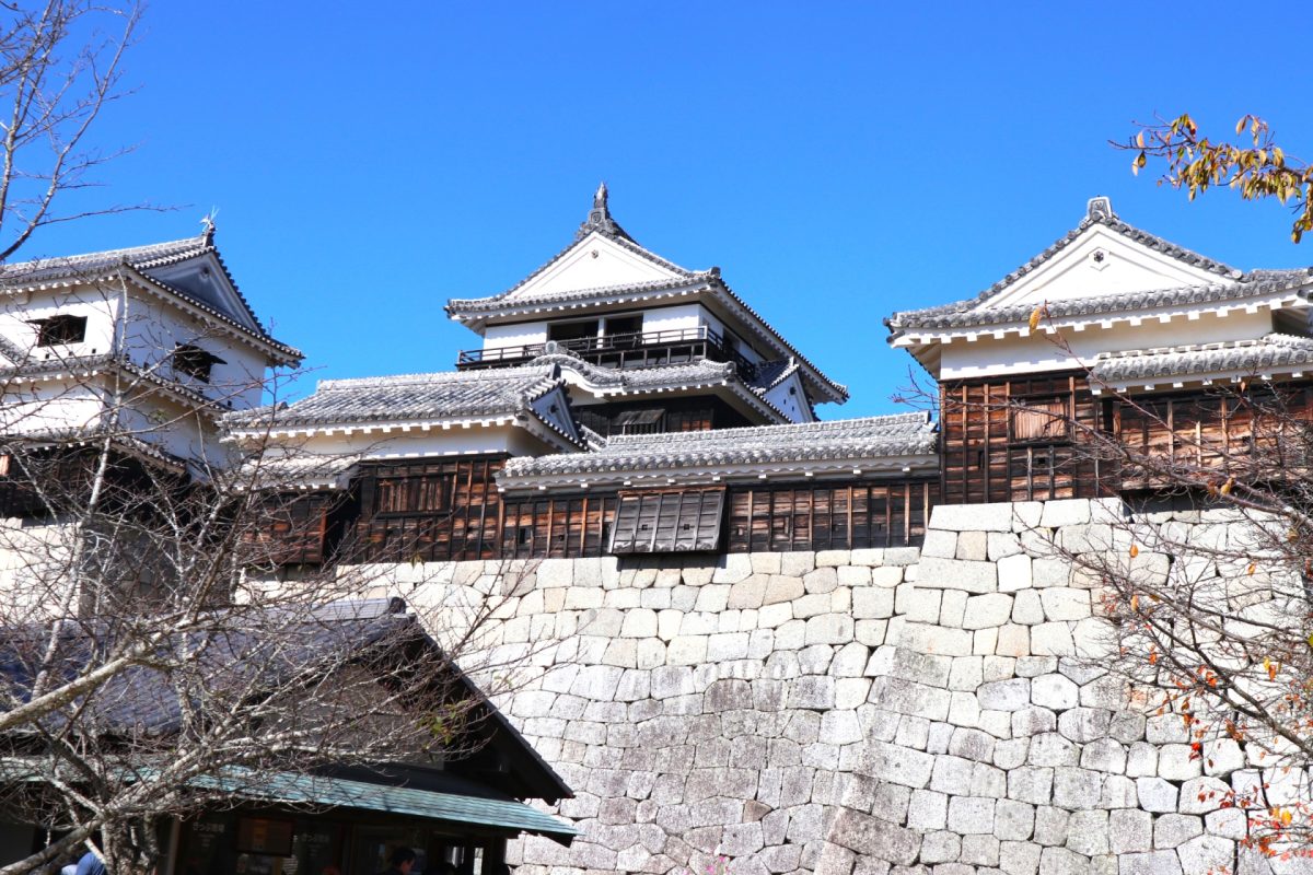 愛媛県松山市の街並み(松山城)