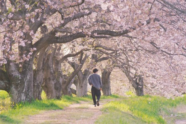 宮代町