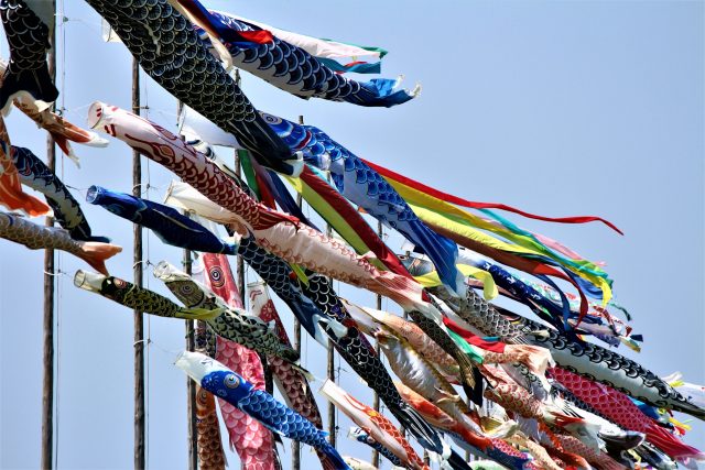 福岡県中間市の街並み(遠賀川鯉のぼり祭り1)