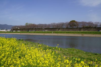 福岡県直方市の街並み(川の風景)