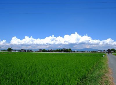 福岡県大木町の田園風景とのどかな町並み