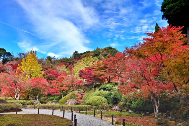 福岡県添田町の英彦山大権現の紅葉と田舎の風景