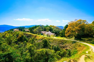 福岡県宇美町の小春日和の大野城土塁と田舎の町並み