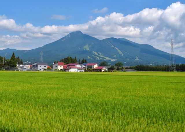 福島県磐梯町から見える磐梯山と田んぼの風景
