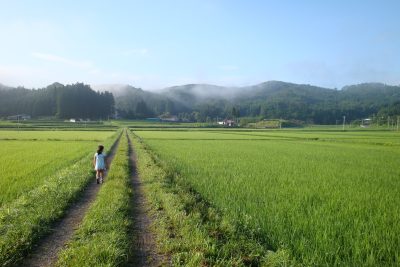 福島県飯舘村の田園風景