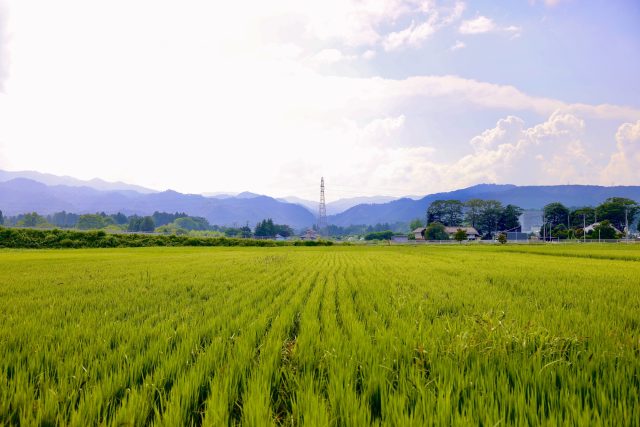 福島県浪江町の田舎町の風景