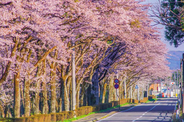 福島県西郷村の堀川親水公園と町並み春の風景