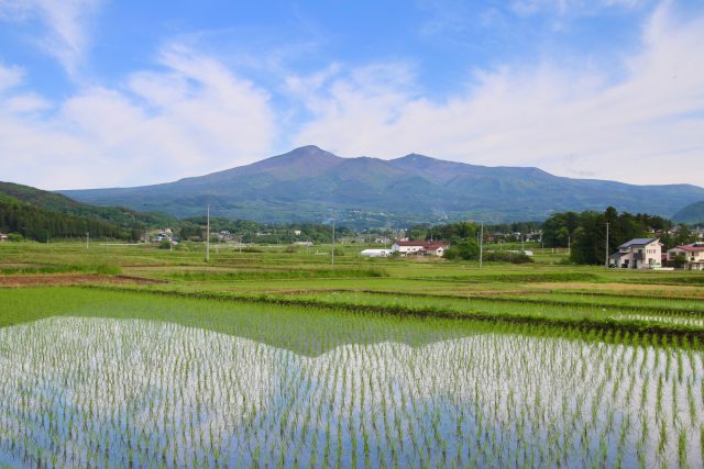 福島県大玉村の水田の景色と安達太良山の風景