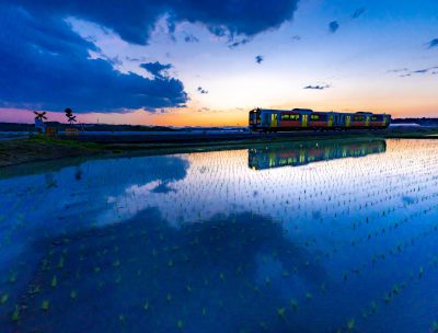 福島県玉川村の水田の中を走る列車と幻想的な風景