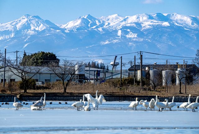 福島県矢吹町から眺める那須連峰と冬の町並み