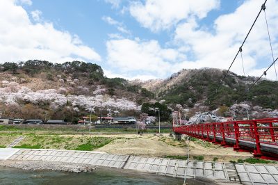 福島県矢祭町にある矢祭山公園の桜と田舎の風景