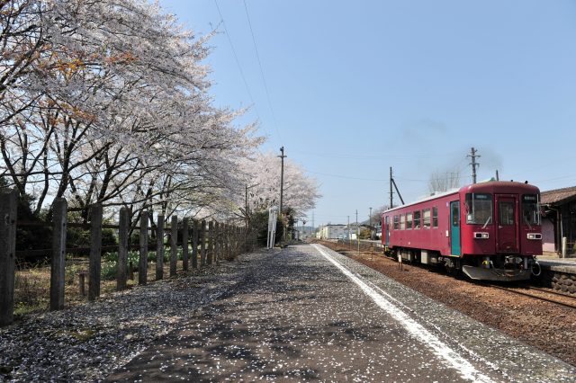 岐阜県富加町の富加駅と町並みと桜