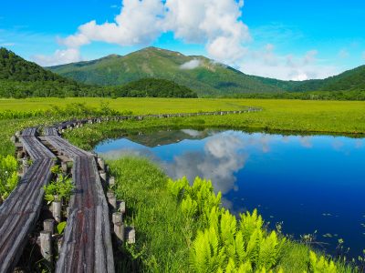 群馬県片品村の初夏の尾瀬ケ原から望む至仏山